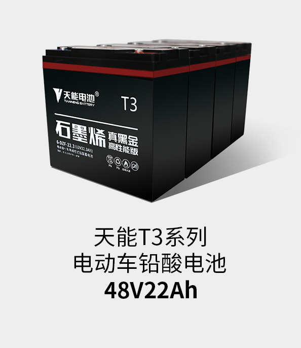 九游老哥J9俱乐部T3系列48v22ah